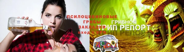 spice Бронницы