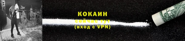 не бодяженный Бородино