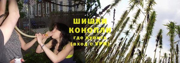 не бодяженный Бородино