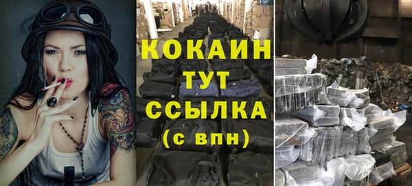 не бодяженный Бородино