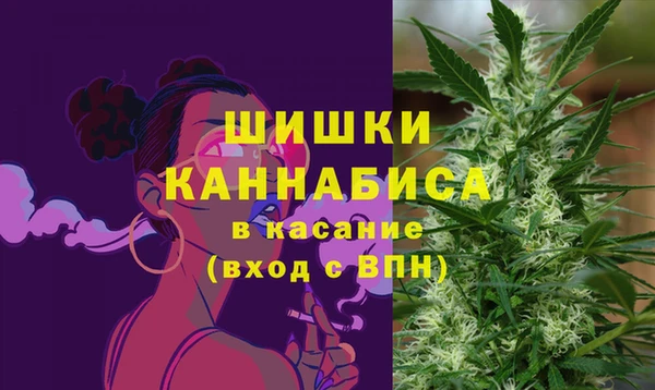 apvp Осташков