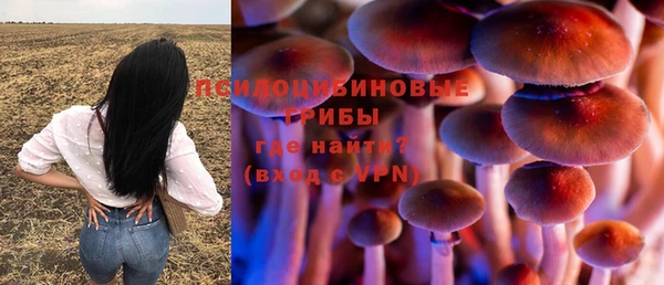 spice Бронницы